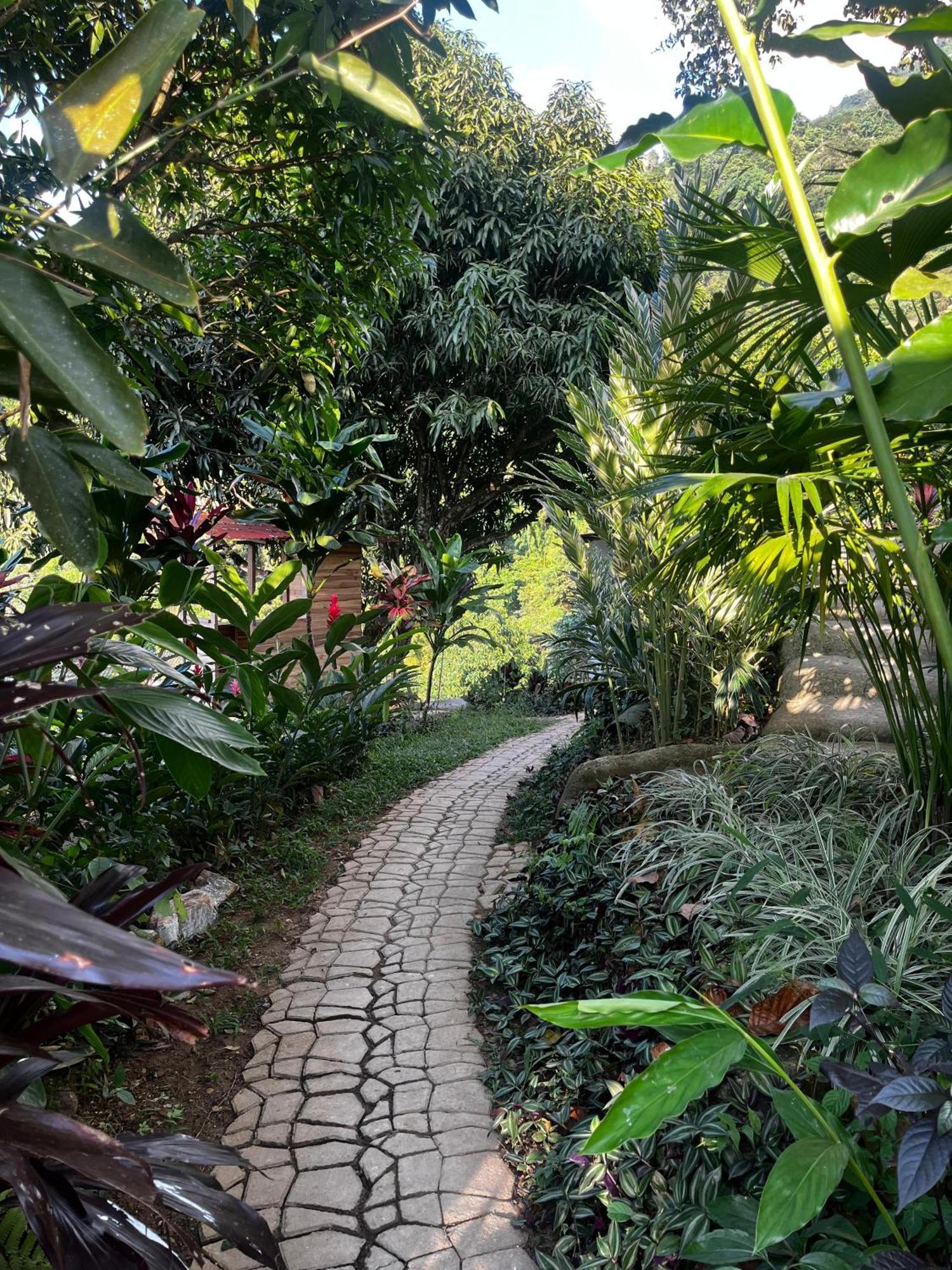 Tukamping Hotel Minca Bagian luar foto